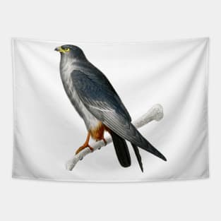 Vintage red-footed falcon bird-animalia clothing Tapestry