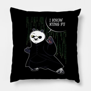 I Know Kung Fu Pillow