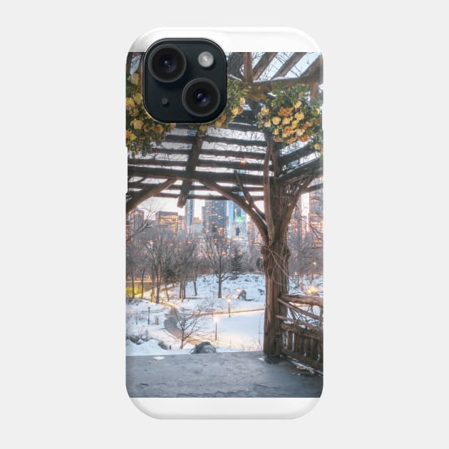 Central Park Winter Phone Case by igjustin