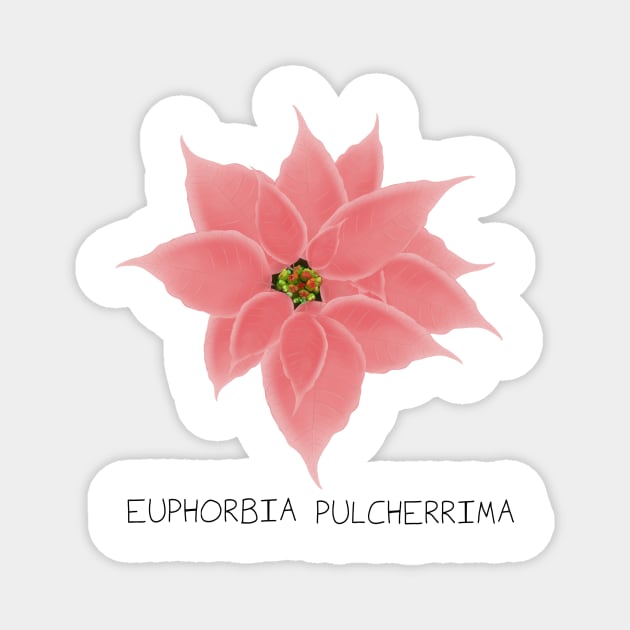 Pink Poinsetta Genus Print Magnet by DesignsBySaxton