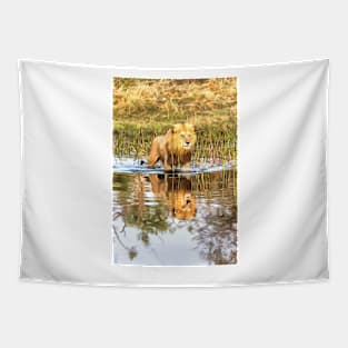 Lion in River with Reflection Tapestry