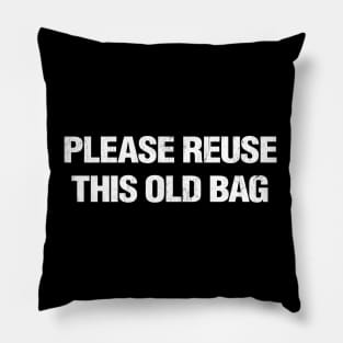 Reusable Bag Pillow