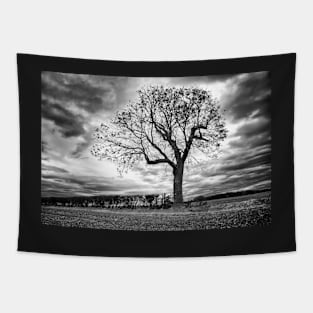 End of Summer - Black and white Tree Tapestry