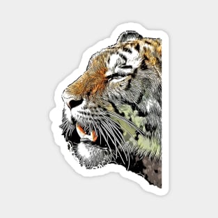 Tiger cartoon art #tiger Magnet