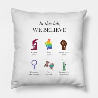 In this lab We believe Pillow