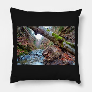 River in the canyon Pillow