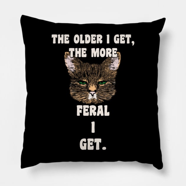 Funny Old Sarcastic Birthday Cat Pillow by tamdevo1