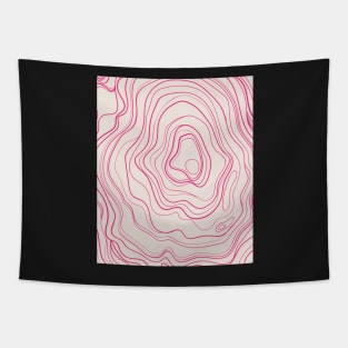 Pink  Abstract Topography  Aesthetic  Pattern Tapestry