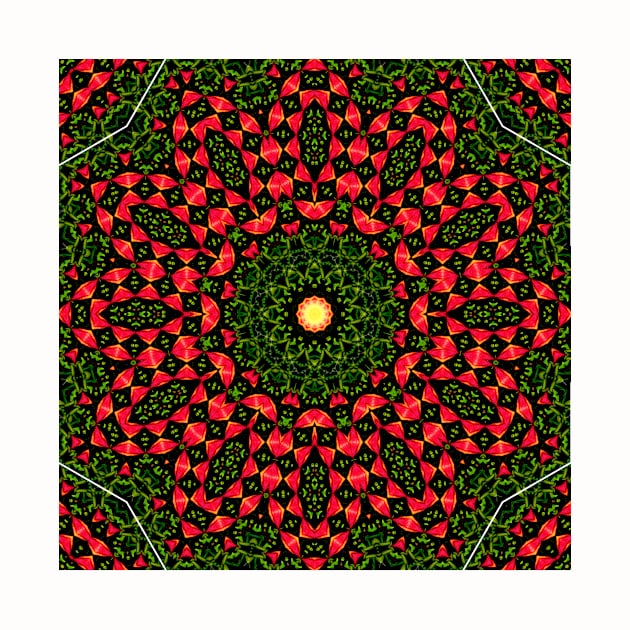 Mandala Kaleidoscope in Red and Green by Crystal Butterfly Creations