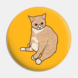 cat sitting Pin