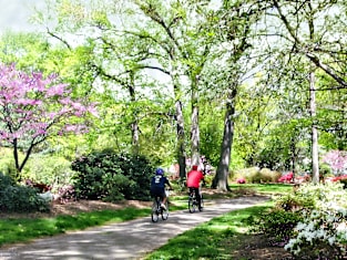 Spring - Bicycling in Spring Magnet