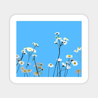 Daisy day Magnet