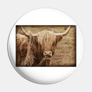 Highland Cow Pin
