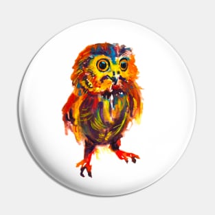 Cute Colorful Owl Pin