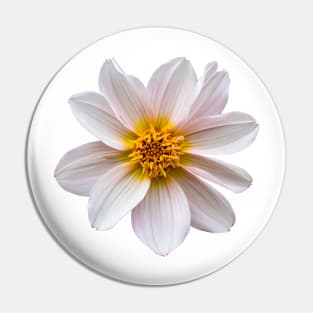 Dahlia Pin