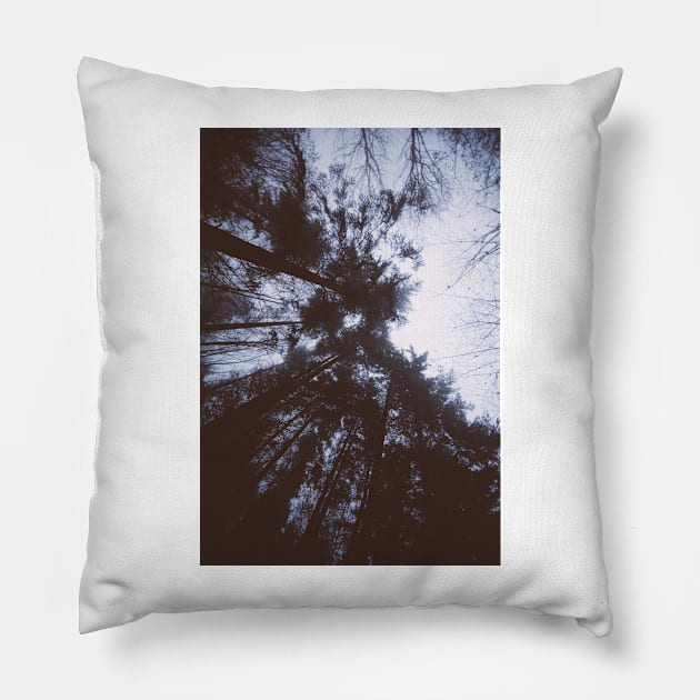 Out Of The Forest Pillow by XOXOX