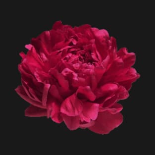 Red Peony Close-up T-Shirt