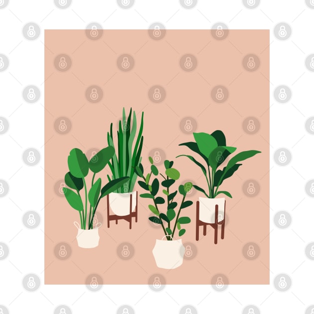 My house plants collection by THESOLOBOYY