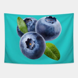Blueberry on a transparent background Tapestry