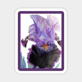 Purple and Black Bearded Iris irises Watercolor White Floral Flowers Painting Magnet