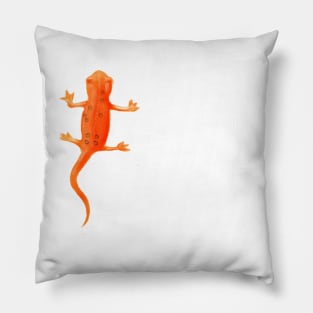 Salamander Pillow