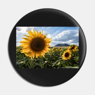 Late Summer Sunflowers Pin