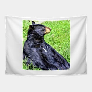 Brown Bear sitting on a hill Tapestry