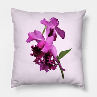 Orchid Harold Carls Pillow