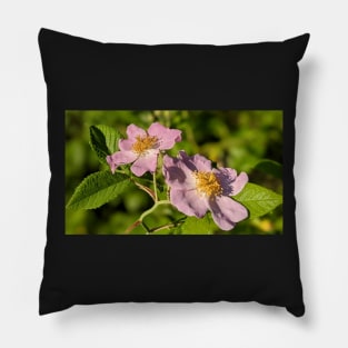 Pink Flowers in Field 2 Pillow