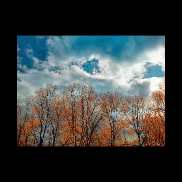 Beautiful golden trees against a blue sky by PandLCreations