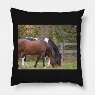 Grazing buddies Pillow