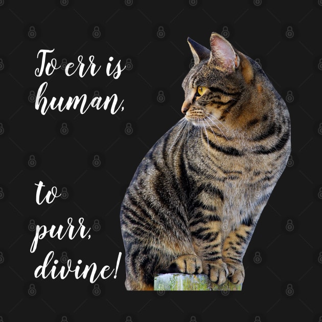 Tabby Cat Inspirational Quote, Cute Funny Cat Lovers Designs by Pine Hill Goods
