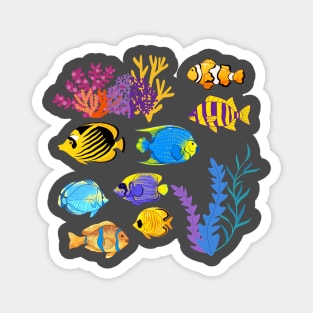 A story of the sea, a tropical fish Magnet