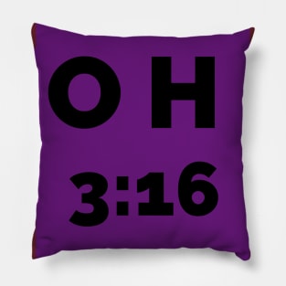 JOHN 3:16 Pillow