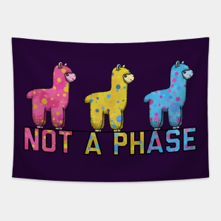 Not A Phase Pan Tapestry