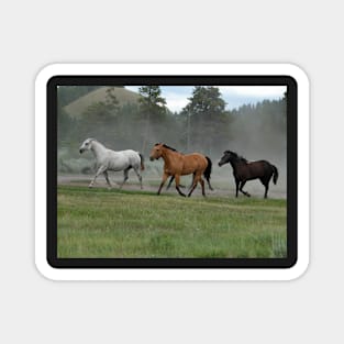 Back to Pasture Magnet