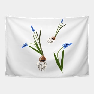 Muscari flowers Tapestry