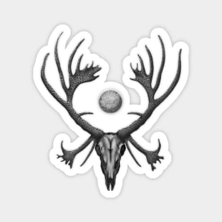 Black and White Reindeer Skull Magnet