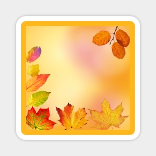 Autumn colorful leaves Magnet