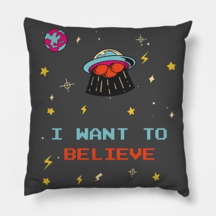I Want To Believe UFO Doodle Pillow