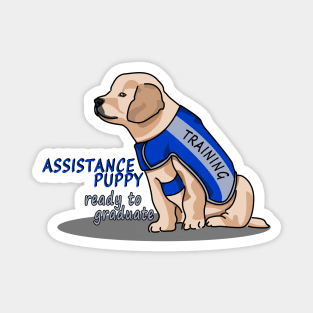 Assistance Puppy Ready to Graduate: Golden Retriever Cutie Magnet