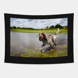 Going for a paddle Spinone Tapestry