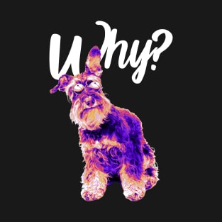 Why alternative hip hop T-Shirt