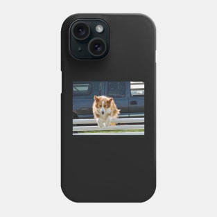 Dog jumping Phone Case