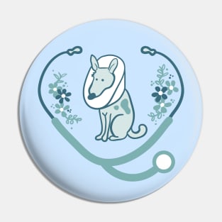 Veterinary Medicine Pin