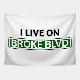 I live on Broke Blvd Tapestry