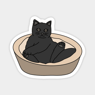 Black Cat Magnet