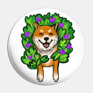 Shiba Inu Gets Stuck In Bush Pin