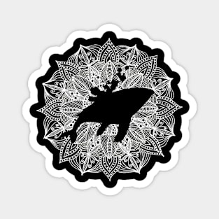 White Mandala Circle Whale Magnet