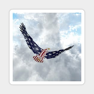 Eagle in US national colors Magnet